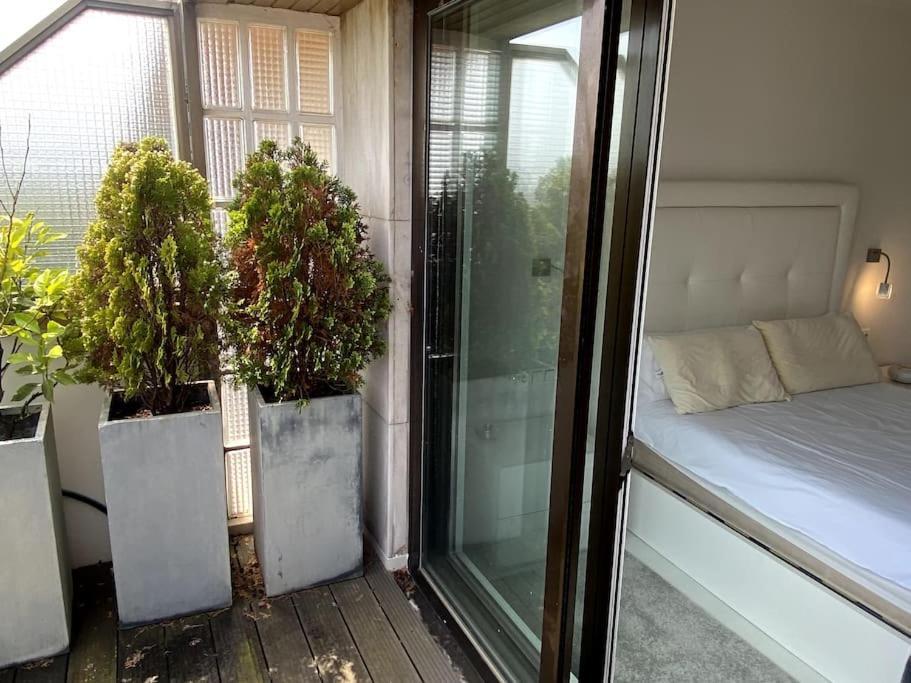 Avenida Vt - Vivienda Turistica Apartamento San Sebastián Exterior foto